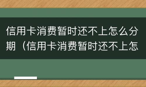 信用卡消费暂时还不上怎么分期（信用卡消费暂时还不上怎么分期还）