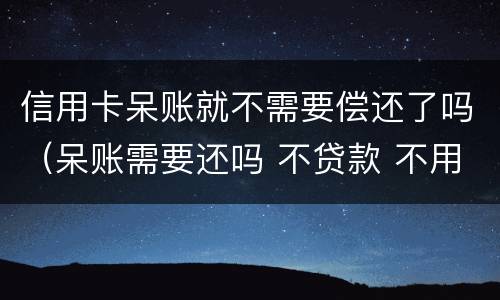 信用卡呆账就不需要偿还了吗（呆账需要还吗 不贷款 不用信用卡）