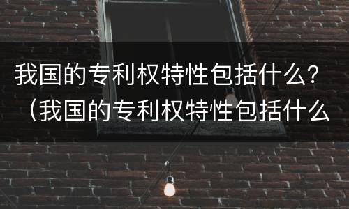 我国的专利权特性包括什么？（我国的专利权特性包括什么）