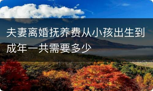 夫妻离婚抚养费从小孩出生到成年一共需要多少