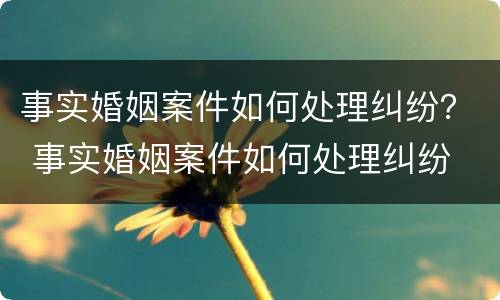 事实婚姻案件如何处理纠纷？ 事实婚姻案件如何处理纠纷