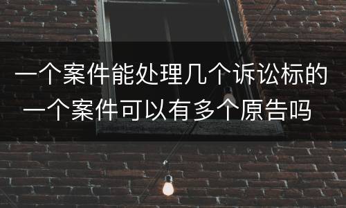 一个案件能处理几个诉讼标的 一个案件可以有多个原告吗