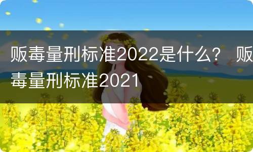 贩毒量刑标准2022是什么？ 贩毒量刑标准2021