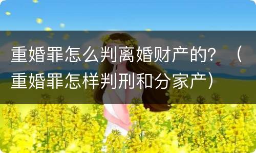重婚罪怎么判离婚财产的？（重婚罪怎样判刑和分家产）