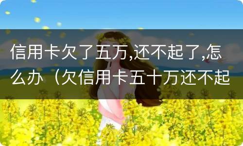信用卡欠了五万,还不起了,怎么办（欠信用卡五十万还不起）