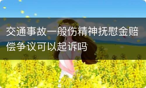 交通事故一般伤精神抚慰金赔偿争议可以起诉吗