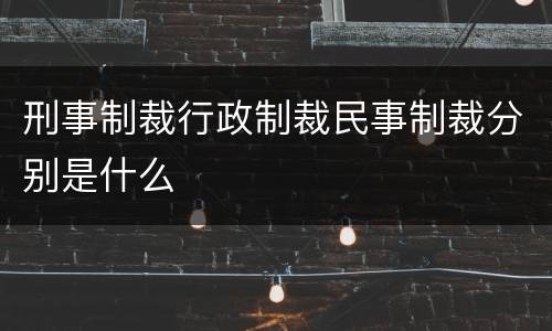 刑事制裁行政制裁民事制裁分别是什么