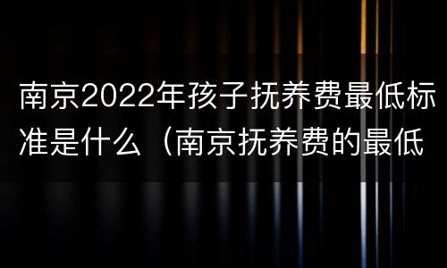 南京2022年孩子抚养费最低标准是什么（南京抚养费的最低标准是多少）