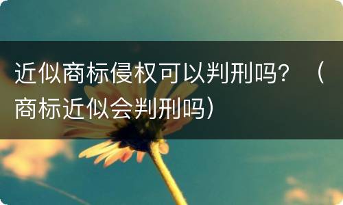 近似商标侵权可以判刑吗？（商标近似会判刑吗）
