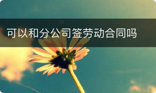 可以和分公司签劳动合同吗