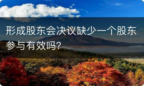 形成股东会决议缺少一个股东参与有效吗？