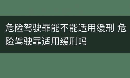 危险驾驶罪能不能适用缓刑 危险驾驶罪适用缓刑吗