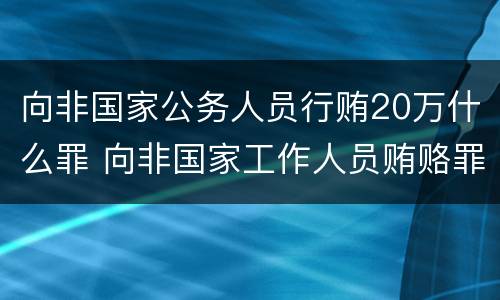 向非国家公务人员行贿20万什么罪 向非国家工作人员贿赂罪