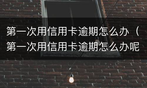 第一次用信用卡逾期怎么办（第一次用信用卡逾期怎么办呢）