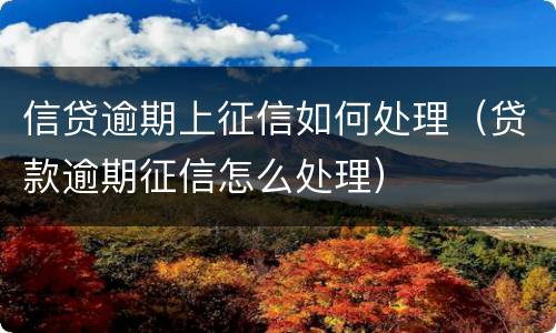 信贷逾期上征信如何处理（贷款逾期征信怎么处理）