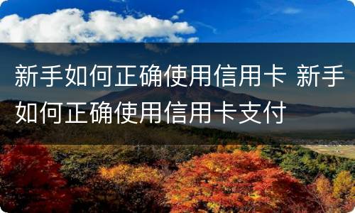 新手如何正确使用信用卡 新手如何正确使用信用卡支付
