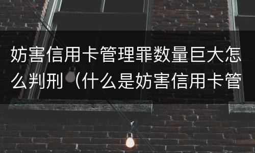 妨害信用卡管理罪数量巨大怎么判刑（什么是妨害信用卡管理罪）