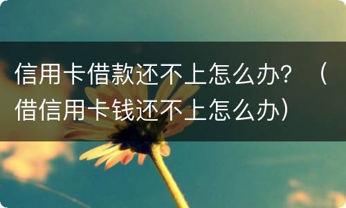信用卡借款还不上怎么办？（借信用卡钱还不上怎么办）