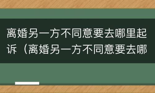 离婚另一方不同意要去哪里起诉（离婚另一方不同意要去哪里起诉呢）