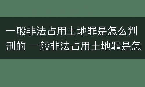 一般非法占用土地罪是怎么判刑的 一般非法占用土地罪是怎么判刑的案例