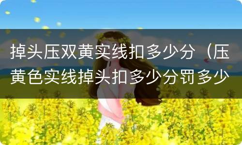 掉头压双黄实线扣多少分（压黄色实线掉头扣多少分罚多少钱）