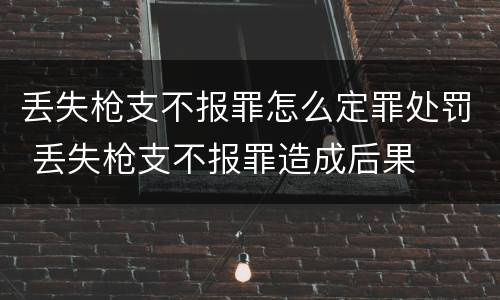 丢失枪支不报罪怎么定罪处罚 丢失枪支不报罪造成后果