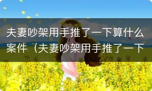 夫妻吵架用手推了一下算什么案件（夫妻吵架用手推了一下算什么案件类型）