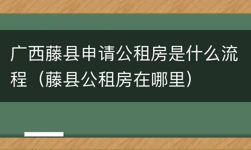 广西藤县申请公租房是什么流程（藤县公租房在哪里）