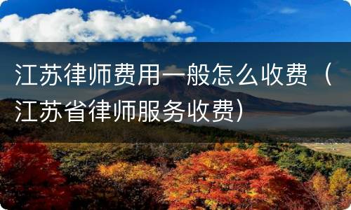 江苏律师费用一般怎么收费（江苏省律师服务收费）
