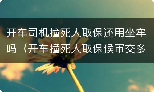 开车司机撞死人取保还用坐牢吗（开车撞死人取保候审交多少钱）