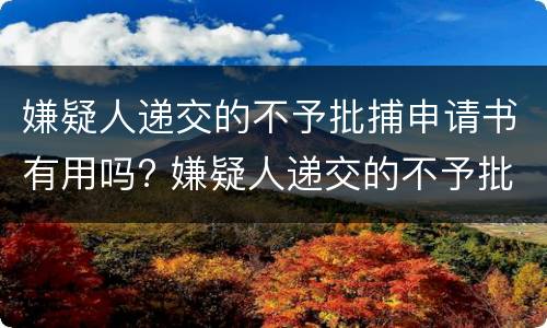 嫌疑人递交的不予批捕申请书有用吗? 嫌疑人递交的不予批捕申请书有用吗