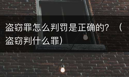 盗窃罪怎么判罚是正确的？（盗窃判什么罪）