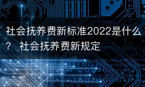 社会抚养费新标准2022是什么？ 社会抚养费新规定