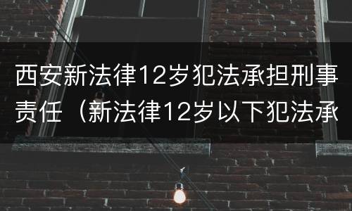 西安新法律12岁犯法承担刑事责任（新法律12岁以下犯法承担刑事责任）