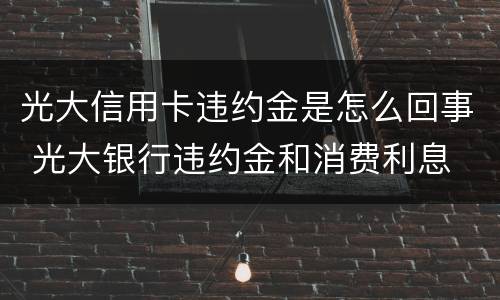光大信用卡违约金是怎么回事 光大银行违约金和消费利息