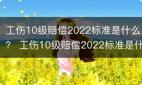 工伤10级赔偿2022标准是什么？ 工伤10级赔偿2022标准是什么样的