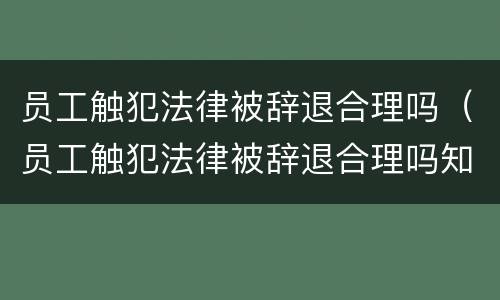 员工触犯法律被辞退合理吗（员工触犯法律被辞退合理吗知乎）