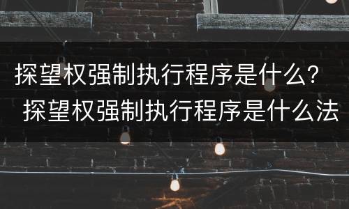 探望权强制执行程序是什么？ 探望权强制执行程序是什么法律
