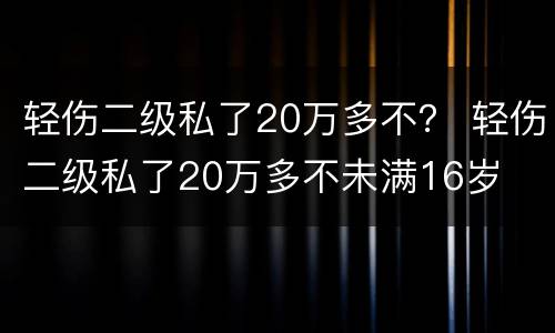 轻伤二级私了20万多不？ 轻伤二级私了20万多不未满16岁