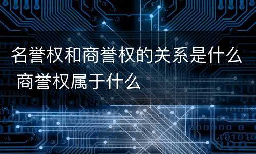 名誉权和商誉权的关系是什么 商誉权属于什么