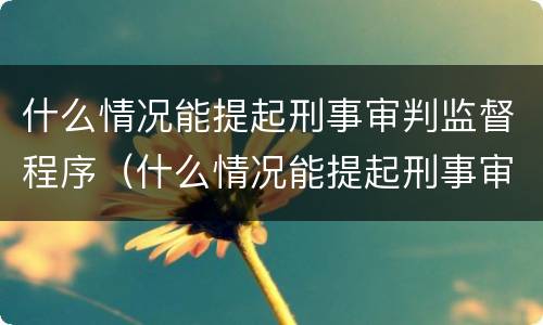 什么情况能提起刑事审判监督程序（什么情况能提起刑事审判监督程序审理）