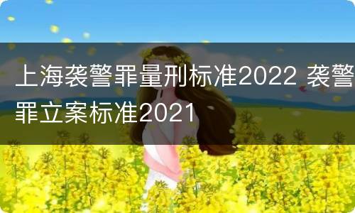 上海袭警罪量刑标准2022 袭警罪立案标准2021