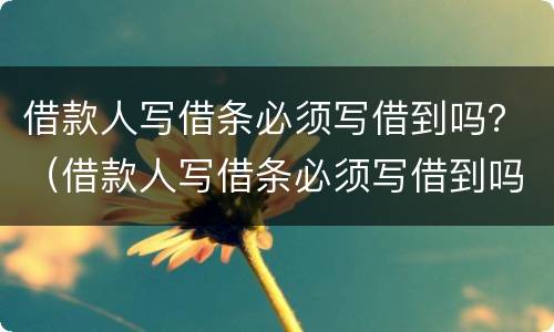 借款人写借条必须写借到吗？（借款人写借条必须写借到吗合法吗）