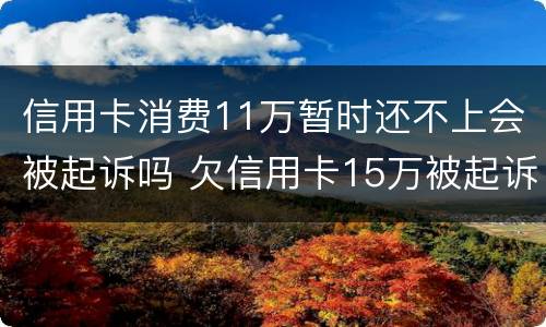 信用卡消费11万暂时还不上会被起诉吗 欠信用卡15万被起诉了会怎么样
