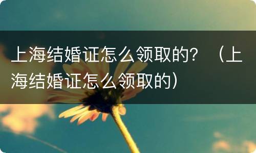 上海结婚证怎么领取的？（上海结婚证怎么领取的）
