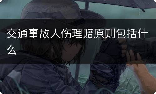 交通事故人伤理赔原则包括什么