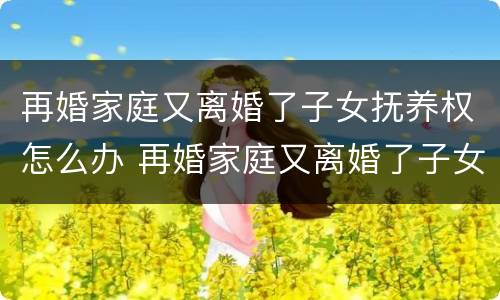 再婚家庭又离婚了子女抚养权怎么办 再婚家庭又离婚了子女抚养权怎么办呢