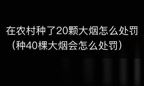 在农村种了20颗大烟怎么处罚（种40棵大烟会怎么处罚）