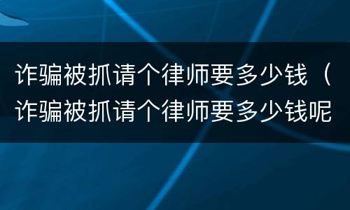 诈骗被抓请个律师要多少钱（诈骗被抓请个律师要多少钱呢）