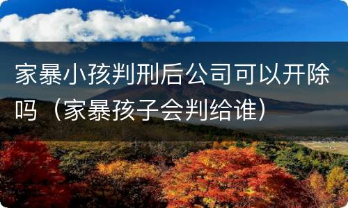 家暴小孩判刑后公司可以开除吗（家暴孩子会判给谁）